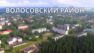 Волосовский МР. Поздравление Главы для Лен ТВ