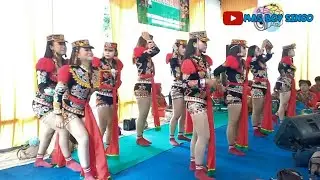 KEDATANGAN PENARI SUPER CANTIK MULUS DOLALAK SRI LESTARI