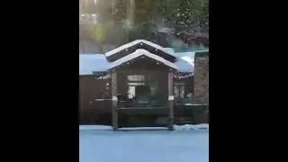красивые девушки.