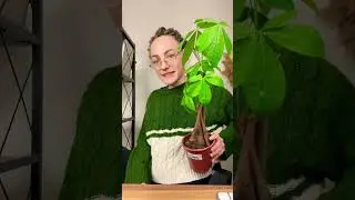 Описание как метод научного познания 