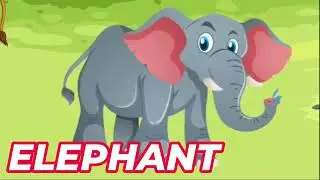 Animal Sounds - Birds Sounds -  [Games for Kids]