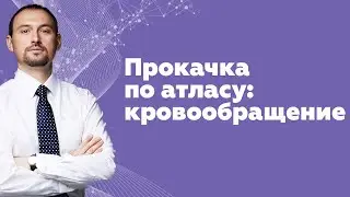 Прокачка по атласу: нормализация кровообращения | Метод Бронникова