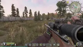 Глючит Койот
