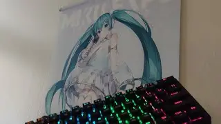 15$ Mechanical keyboard from Aliexpress. Is it Hatsune Miku Approved?