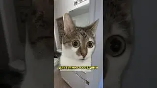 3 Причины НЕ Покупать Новостройки в Америке! #америка #флорида #недвижимость