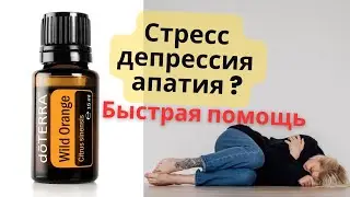 Стресс, депрессия, апатия? Быстрая помощь