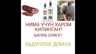 БУЛАРНИ ОЛЛОХ НЕГА ХАРОМ КИЛГАН? ДОМЛА АЖОЙИБ ТУШУНТИРИБ БЕРДИ