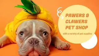 Pawers & Clawers Pet Shop | Pet Shop Promo Ads | JC Techsoft Solution