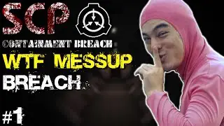 The Most Insane Mod I've Ever Played... | SCP: CB | SCP WTF Messup Breach