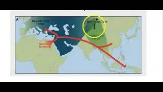 VCE Biology Unit 4 - hominin interbreeding and coming to Australia