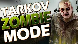 I Made A Zombie Mode in Escape From Tarkov Offline Co-Op