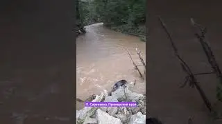 После тайфуна, п. Сиреневка, Приморский край