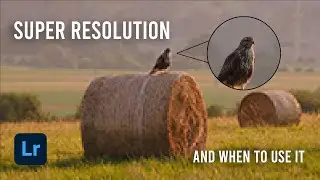Enhance and Super Resolution from Adobe (vs Capture One) - Photo Editing