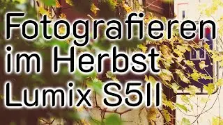 Farb- und Motivsuche mit der Panasonic S5II und dem 24-70 | 2.8