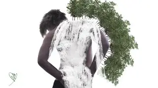 RUNES / THE SEED (AURORA cover)