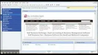 How to Set User Authorizations in SAP Business One.mp4