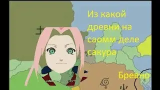 Настоящая деревня сакуры!Теория !Какая настоящая деревня сакуры -ответ. НАРУТО ТЕОРИИ