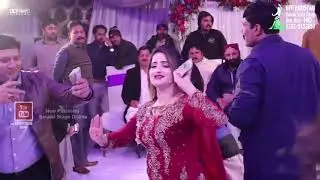 Sumbal Khan Meerab Khan Birthday Party Event