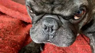ОНИ ЗАБРАЛИ ЕЁ