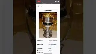 Уже определён обладатель кубка Гагарина 2020/2021 по версии Википедия