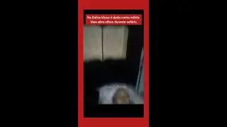 Ela acordou no seu próprio velório? Acompanhe.