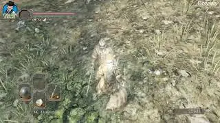 All Main Bosses Bow Only No Death Run