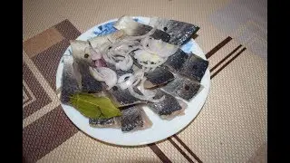 Salting herring. Dry salting. The quick way.