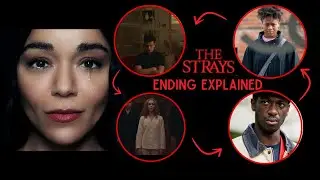 The Strays Netflix 2023 Review + Ending Explained