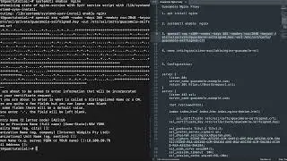 Installing Nginx to use with Apache guacamole