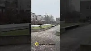 Snowfall @ Vancouver | 2021 #shorts