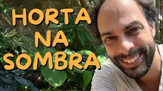 Alimentos para Plantar na Sombra - Mais Comida em Casa