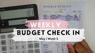 Weekly Budget Check-In |  Budget With Me | Week 3 | May 2023 Budget | Expense Tracker