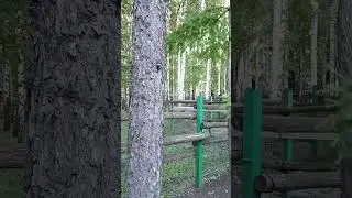 #странные звуки
