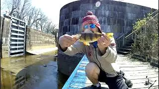 Megascorcher Fishing #7 - Perch Slayer