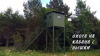 ОХОТА НА КАБАНА С ВЫШКИ 2017 НОВИНКА
