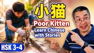 中文短篇故事 04 | 小猫 | 听故事学中文 | Chinese short story