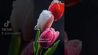 Доброе утро!