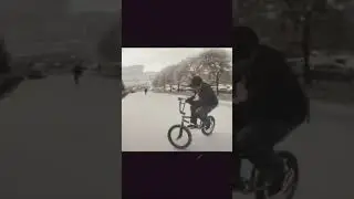 Бмх Тима Вишневский 2020
