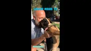 The friends never bear to grow up #11 - Funny dogs - Funny animal - Laugh more TG
