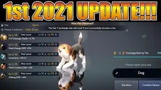 Tier 6 Pets!  Boss Fragments!!!  Medals of Honor! Patch Notes Update - Black Desert Mobile