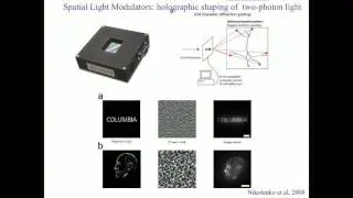 Rafael Yuste: The novel neurotechnologies: impact in science, medicine, and society