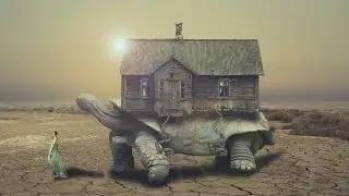 turtle caring house | photoshop manipulation tutorial cs6/cc
