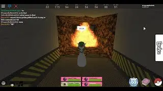 ROBLOX pokemon fighters ex how to get to nurse joy without defog
