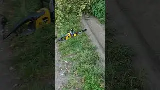 Проблема на ровном месте