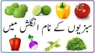Vegetable Names With Pictures in English|سبزیوں کے نام|Different Types Of Vegetables|Learning|Ep-01