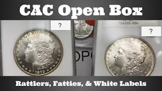 CAC Open Box - Rattlers, Fatties, & White Labels