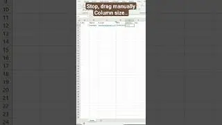 Stop drag manually column size 