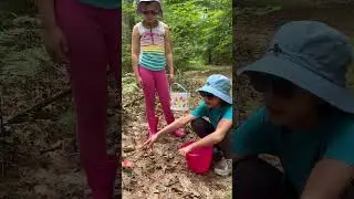 Pick Blueberries with Us