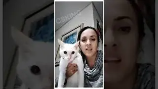 The cat's soul is gone🧞‍♂️😂 #shortfeed #funny #comedy #memes #comedyshorts