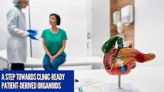 Pancreatic cancer patient-derived organoid line derived at the Salk Institute   step closer